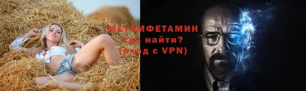 шишки Няндома