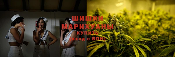 шишки Няндома