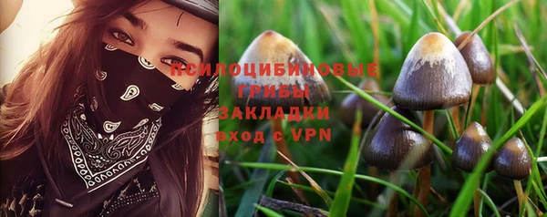 mix Аркадак