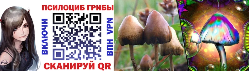 Галлюциногенные грибы GOLDEN TEACHER  хочу   Аткарск 